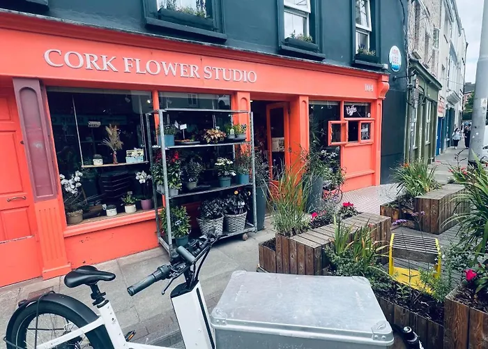 Cosy In Heart Of * Cork