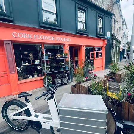 Cosy In Heart Of * Cork