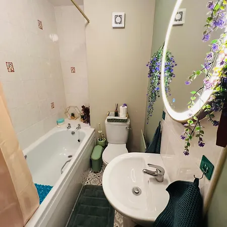 Apartman Cosy In Heart Of Cork